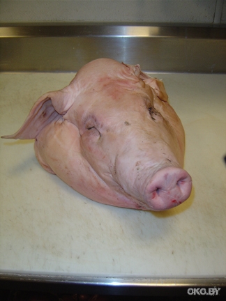 1209918885_1194680472_pigs_head