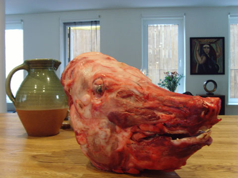 pig