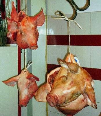 u69226-104968_pigs_heads_435w_blogshow