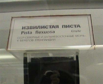йуригу - извилистая