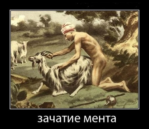 3ae23b07a734
