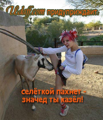 козел и селёдка