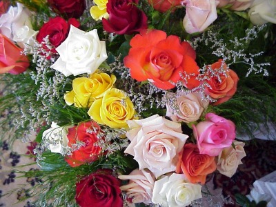 abf66fe28c5d49c02a7534ca5f46f77a