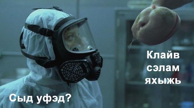 ХИМЕРА/10