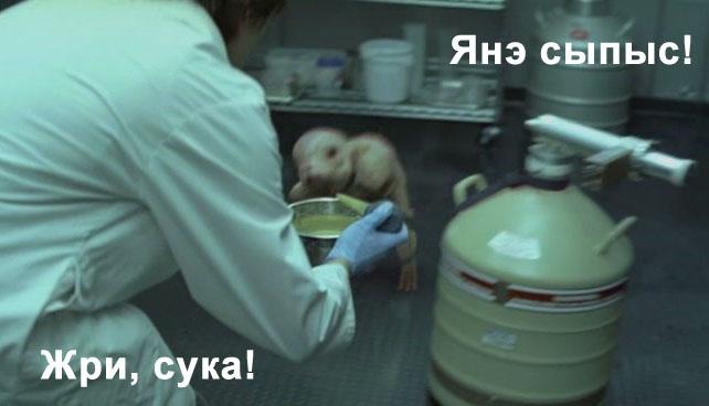 ХИМЕРА/12