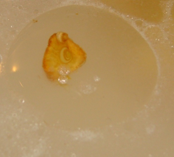 005