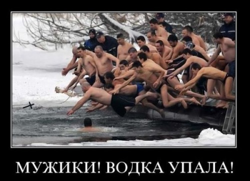 водка упала