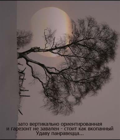 удаву понравицца