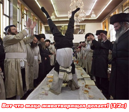 маца животворящая