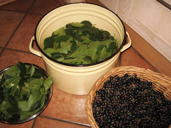 Photo 07