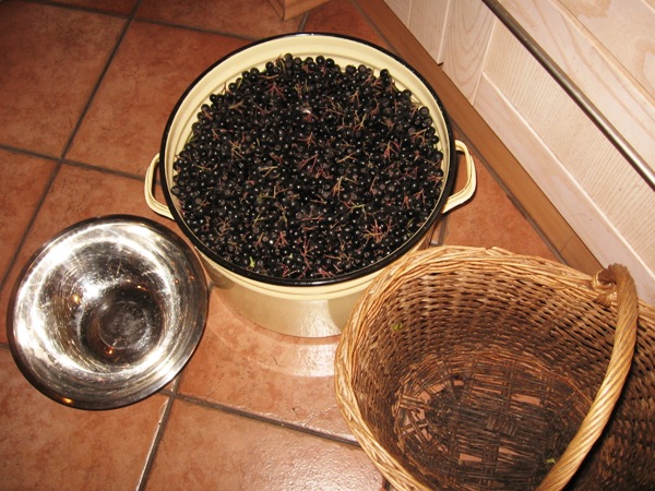 Photo 08