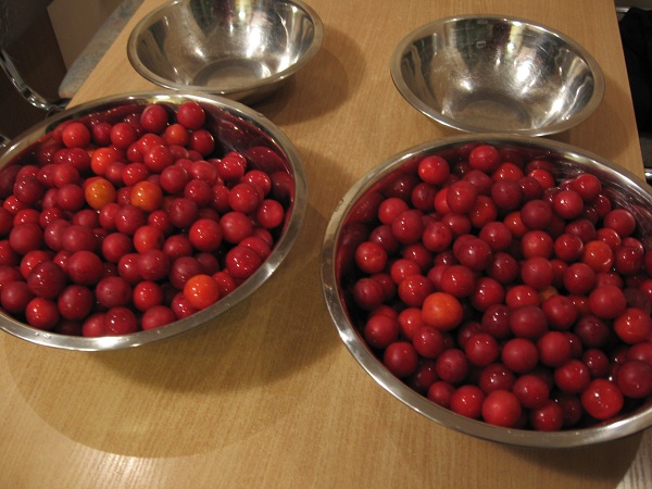 Photo_06