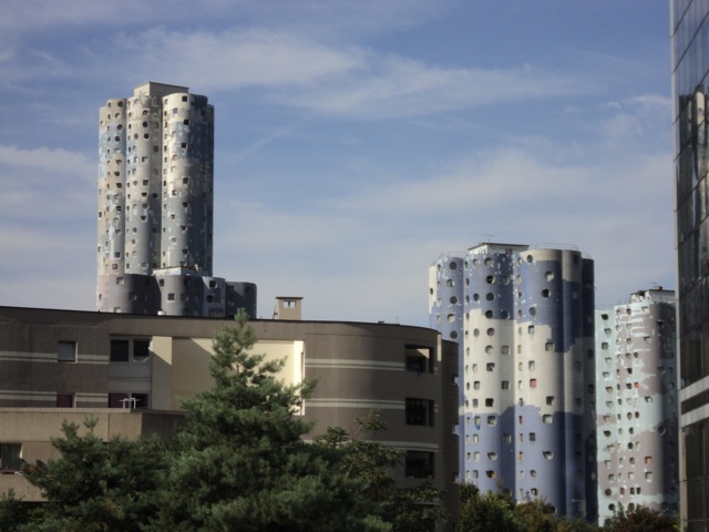 DSC03921