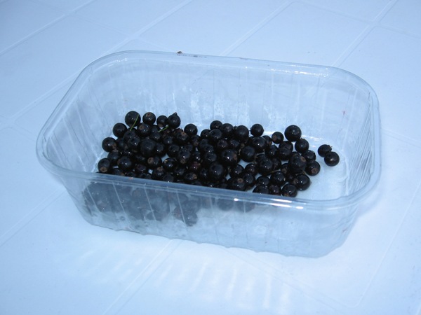 Picture 02
