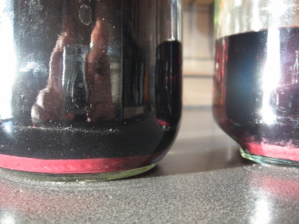 Picture 13