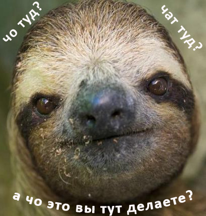 чад туд