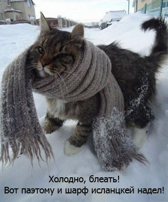 исланцкий шарф