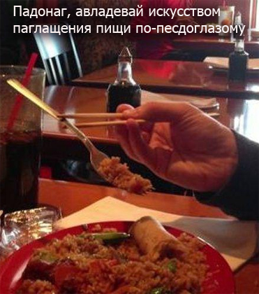 правильно фж