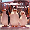 родственнег медведа