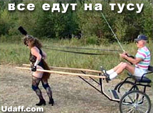 все