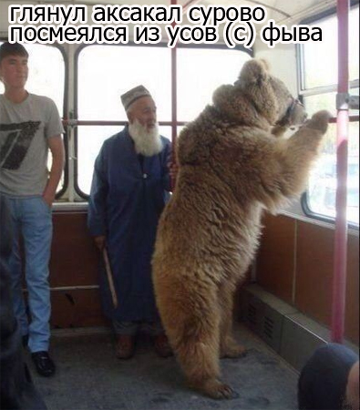 фыве