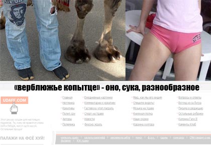 верблюжье копытце