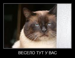 весело тут у вас