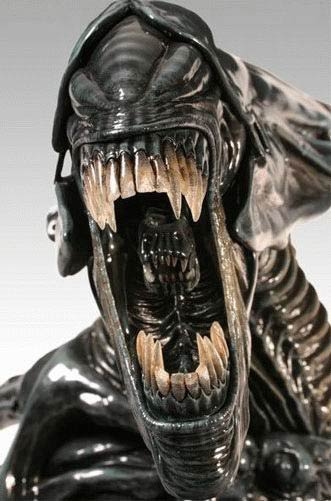 Ksenomorff