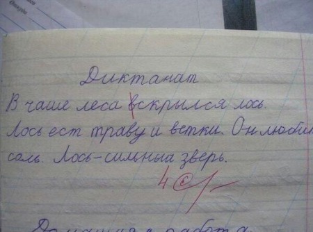 вскрылся лось