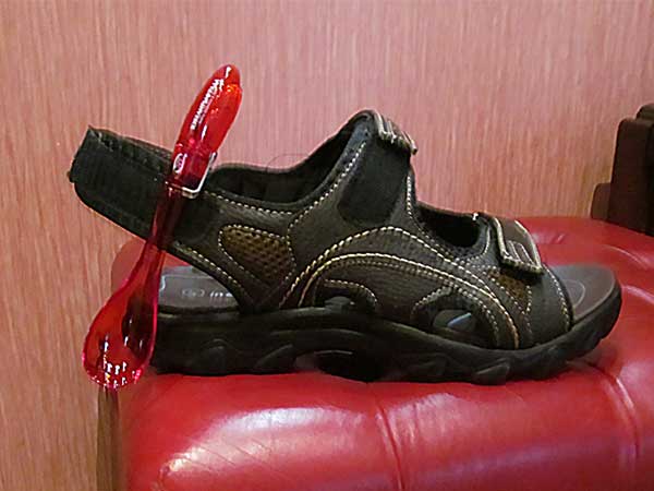 photo11