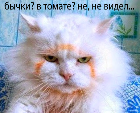 бычки