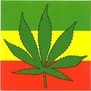 HEMP77