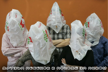 пёсикам
