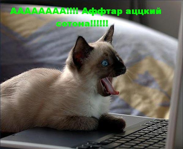 Мартовский Кот