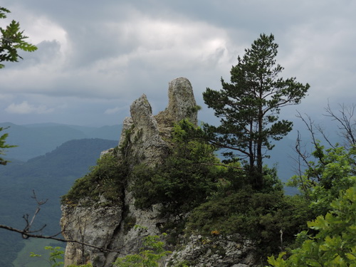 гуамка 4