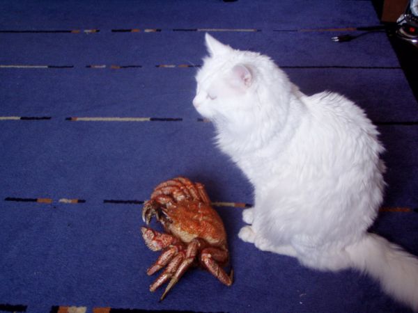 3,14здец