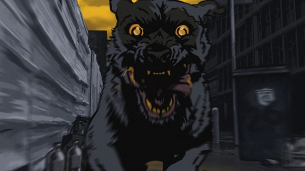 dog