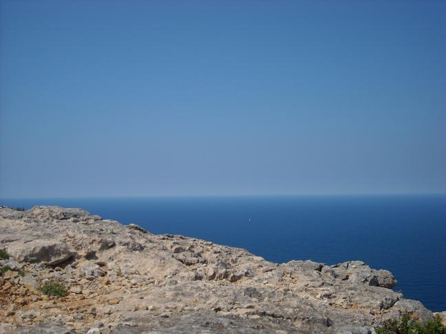 DSCN1917