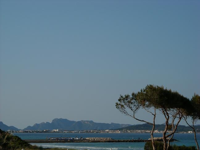 DSCN1924
